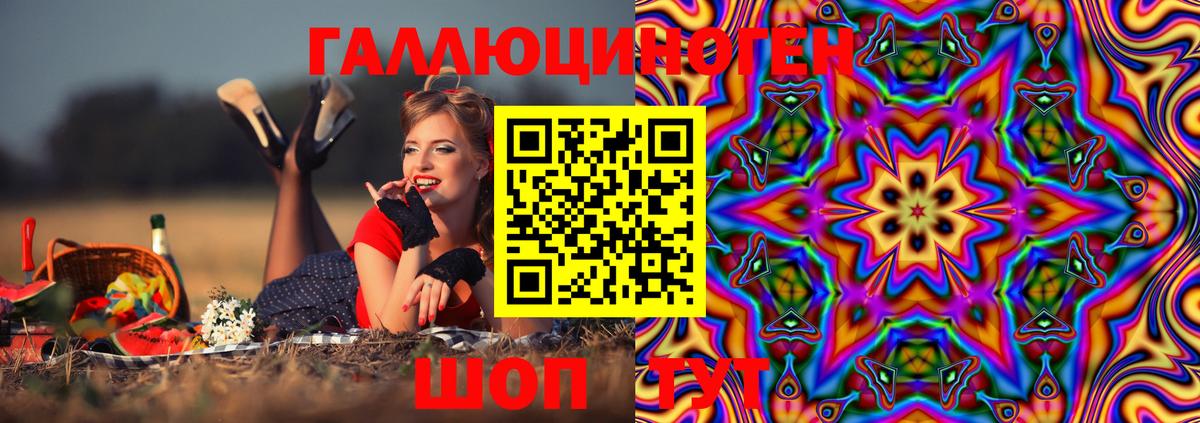Ковров  Псилоцибиновые грибы Psilocybe  Вход с VPN 